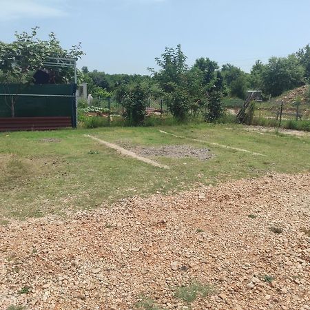Crystal Apartment Umag Zewnętrze zdjęcie